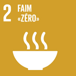 Developpement durable