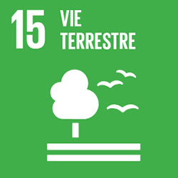 Developpement durable